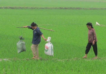 Xã “cái bang” thành xã “giàu” ảnh 1