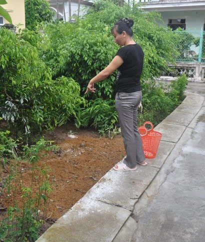 Con trai đoạt mạng cha sau cú vung dao rựa ảnh 1