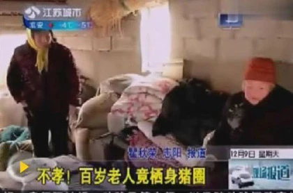 8 người con để mẹ già sống trong chuồng lợn ảnh 2