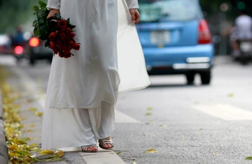 Hà Nội mùa lá bay ảnh 11