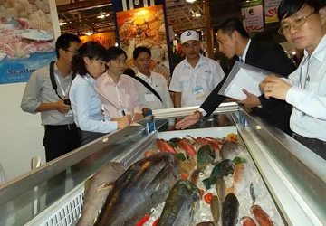 Đấu giá cá tra trên sàn quốc tế ảnh 1