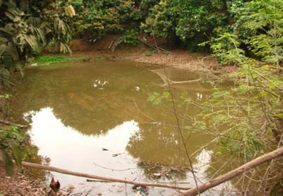 Ly kỳ chuyện săn tìm kho vàng 3 tạ ở Bắc Giang ảnh 2 Ly kỳ chuyện săn tìm kho vàng 3 tạ ở Bắc Giang ảnh 2