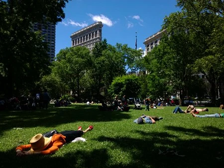 Ngỡ ngàng với những bức ảnh “cực đỉnh” chụp từ camera của Lumia 1020 ảnh 4