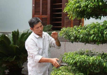 Đường lao lý của đại gia có nhà nghìn bóng đèn ảnh 1 Đường lao lý của đại gia có nhà nghìn bóng đèn ảnh 1