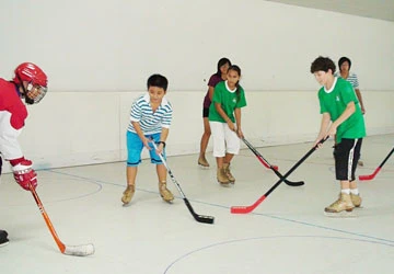 TP.HCM có khúc côn cầu trên… băng ảnh 1