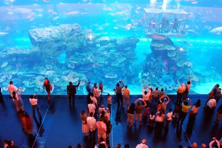 Vào trong tháp Dubai chọc trời vừa bị sét đánh ảnh 10