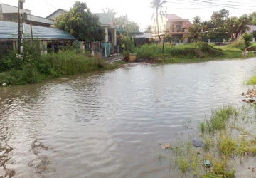 Thông tin từ bạn đọc ảnh 1