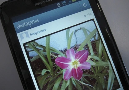 5 triệu video tải lên Instagram trong ngày đầu tiên ra mắt ảnh 1