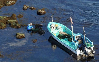 Mây phóng xạ bay vòng quanh Trái đất ảnh 2