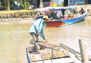 UBND tỉnh Bà Rịa-Vũng Tàu sẽ kiện Vedan? ảnh 1