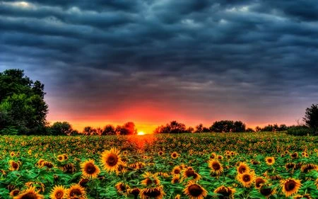 Bộ hình nền mang lãng mạn của “hoàng hôn” lên Windows ảnh 20