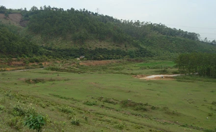 Cuộc tàn phá thảm khốc lăng mộ Trần Minh Tông ảnh 3