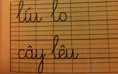 Những sai sót khó tin trong “Vở luyện tập Tiếng Việt 1” ảnh 3