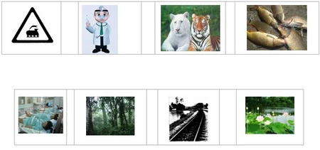 Đề thi "vượt vũ môn" vào lớp 1 ảnh 3