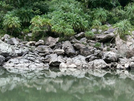 Kỳ vĩ sông Đà ảnh 5