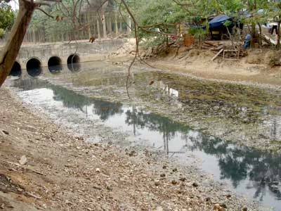 Dịch bệnh tiềm ẩn từ những sông, mương nước đen ở Hà Nội ảnh 1