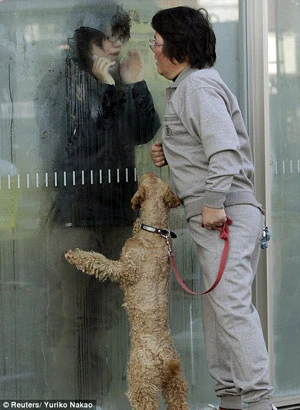 Khi nào phóng xạ phát ra ngoài? ảnh 2