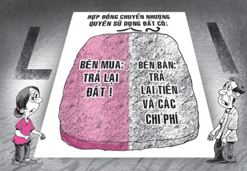 Chia đôi thiệt hại vì cả hai bên đều có lỗi ảnh 1