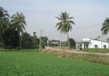 Quận 12: Dân khổ vì quy hoạch đất dự trữ ảnh 1