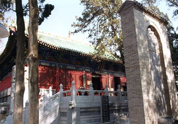 Muay Thái không hề thách đấu Thiếu Lâm tự ảnh 2