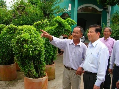 “Đại gia” cây cảnh đồng bằng ảnh 6