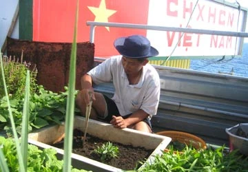 Những mảnh vườn treo giữa trùng khơi ảnh 2