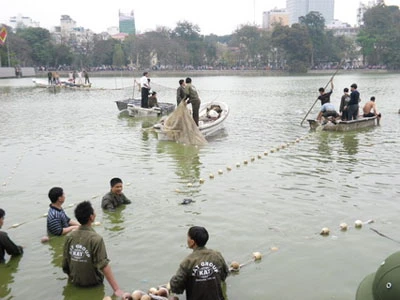 Trực tiếp quây bắt Rùa hồ Gươm: Cụ đã vào "lồng" ảnh 5 Trực tiếp quây bắt Rùa hồ Gươm: Cụ đã vào "lồng" ảnh 5