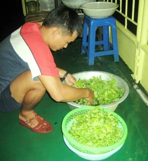 Những mảnh vườn treo giữa trùng khơi ảnh 5