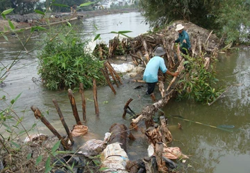 TP.HCM: Lại bể bờ bao, hơn 50 hộ dân bị ngập nặng ảnh 1
