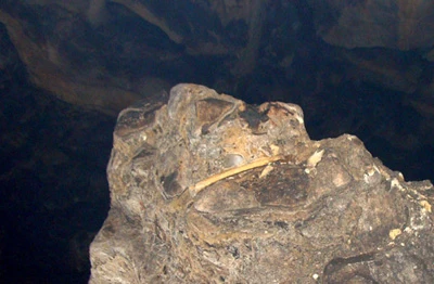 Hãi hùng đống xương trong khe đá ảnh 9