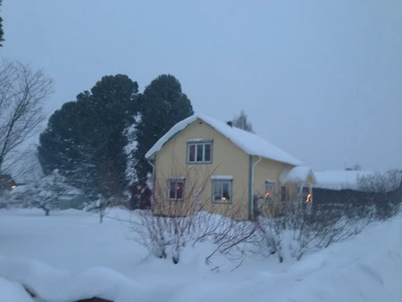 Vẻ đẹp quyến rũ của làng quê Thụy Điển mùa Giáng sinh ảnh 13