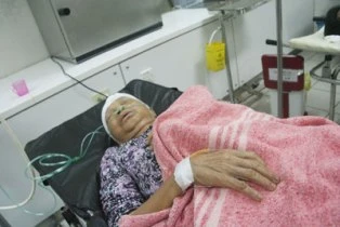 Thừa Thiên-Huế: Trâu điên húc bị thương 10 người ảnh 1