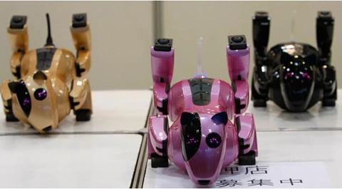 Triển lãm Robot Quốc tế 2009 ảnh 13 Triển lãm Robot Quốc tế 2009 ảnh 13