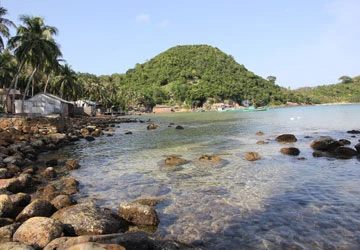 Sống ngoài đảo ảnh 1
