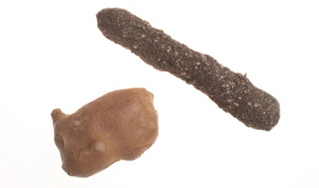 Thiết bị công nghệ gián điệp kinh điển của tình báo Mỹ CIA ảnh 2