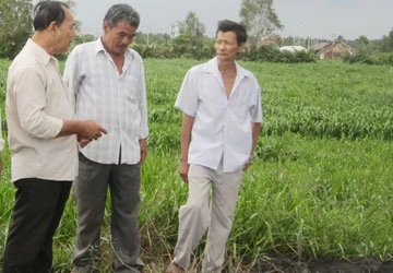 Bình Dương: Giám đốc gom tài sản cả trăm hộ dân đem thế chấp ảnh 1