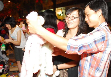 Sài Gòn tưng bừng đón Giáng sinh ảnh 4