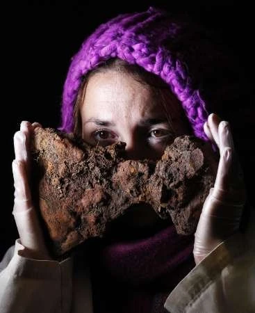 Phát hiện mộ thuyền của cướp biển Viking huyền thoại ảnh 7