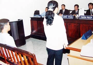 Cử người giám hộ, theo luật nào? ảnh 1 Cử người giám hộ, theo luật nào? ảnh 1