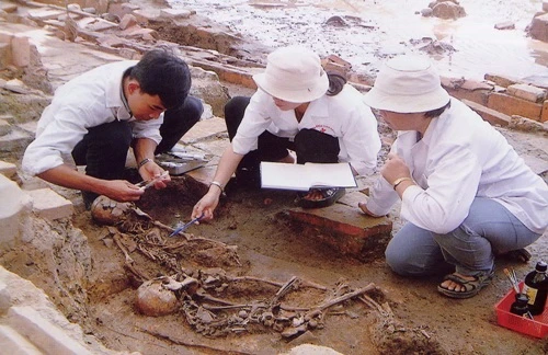 Hoàng thành Thăng Long sẽ mở cửa vào 2/9 ảnh 5