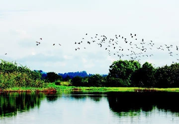 Thủy điện ồ ạt, đánh giá riêng lẻ! ảnh 1