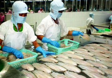 Vụ cá tra bị đưa vào danh sách đỏ ảnh 1