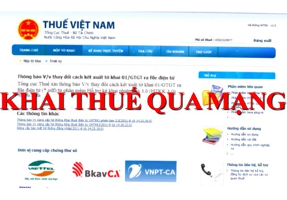 "Không “ép” doanh nghiệp khai thuế qua mạng" ảnh 1