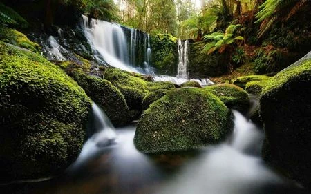 Tuyệt đẹp bộ sưu tập hình nền và giao diện dành cho người yêu thiên nhiên ảnh 14 Tuyệt đẹp bộ sưu tập hình nền và giao diện dành cho người yêu thiên nhiên ảnh 14