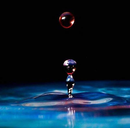 Những hình ảnh quay chậm đẹp và hài hước ảnh 8 Những hình ảnh quay chậm đẹp và hài hước ảnh 8