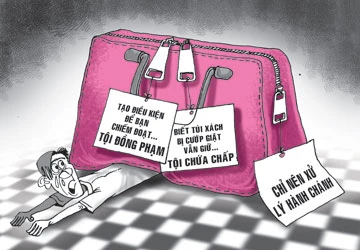 Bị cáo là đồng phạm cướp giật tài sản ảnh 1