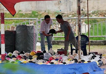 'Dùng mắt thường cũng phân biệt được mũ rởm' ảnh 2