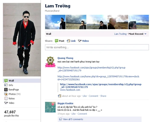 Sao Việt nào có nhiều fan nhất trên Facebook? ảnh 10