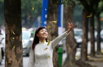 Hà Nội mùa lá bay ảnh 12