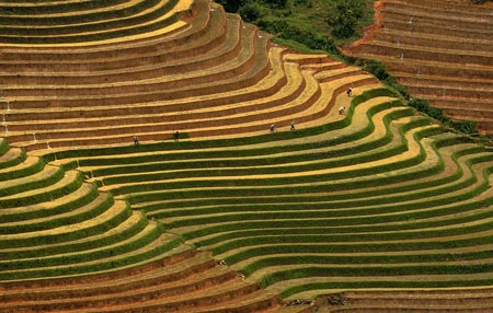 Ngắm Sapa trong vụ cấy mới ảnh 1